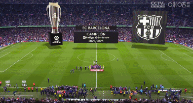 官方：汉堡队长波尔森左脚踝韧带撕裂，预计将缺席数周（官方消息：汉堡队长波尔森左踝韧带撕裂，预计缺阵数周）